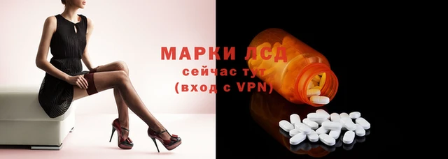 тгк Алзамай